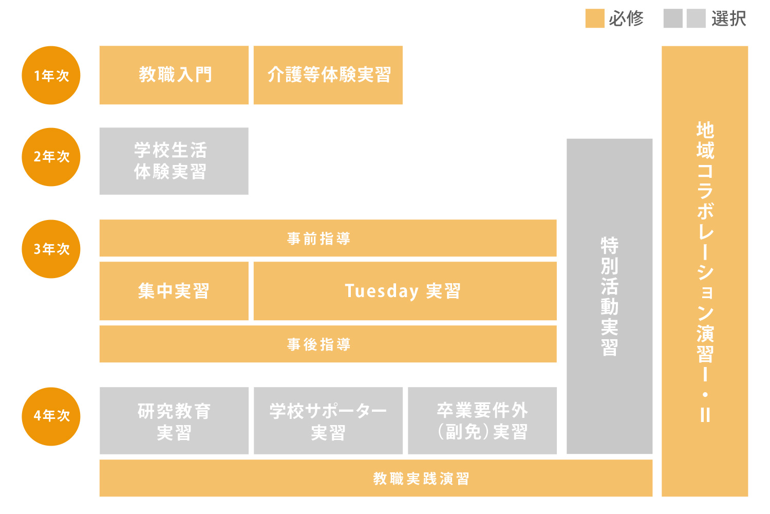 長期継続型実習