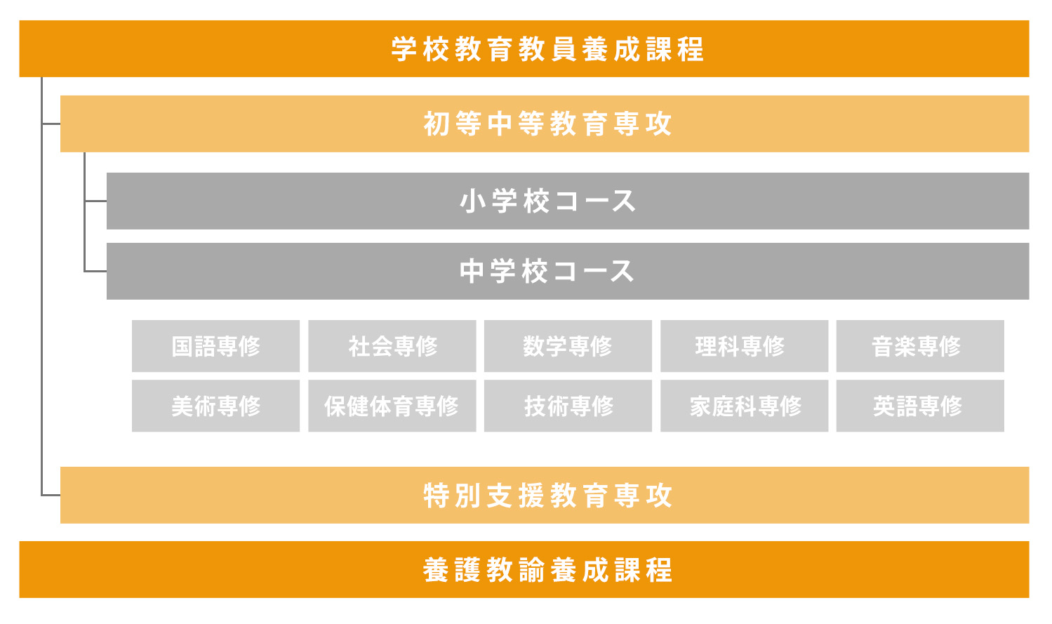 弘前教育学部 組織
