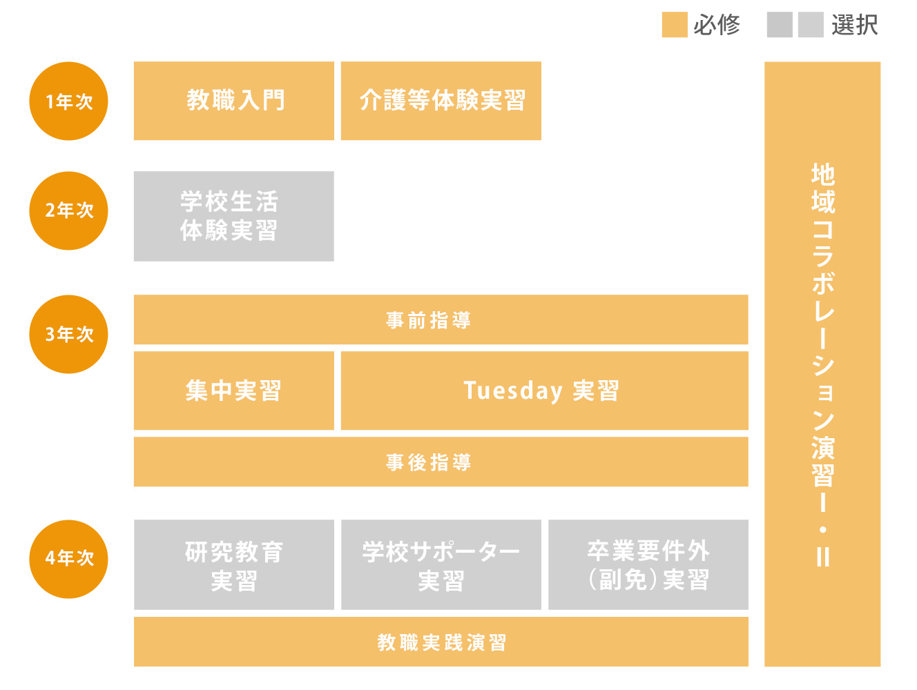 長期継続型実習